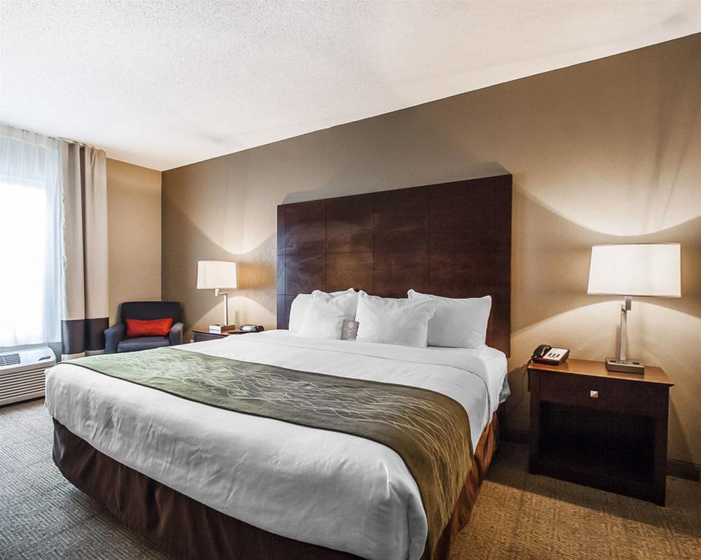 Demopolis Comfort Inn Us Hwy 80 מראה חיצוני תמונה