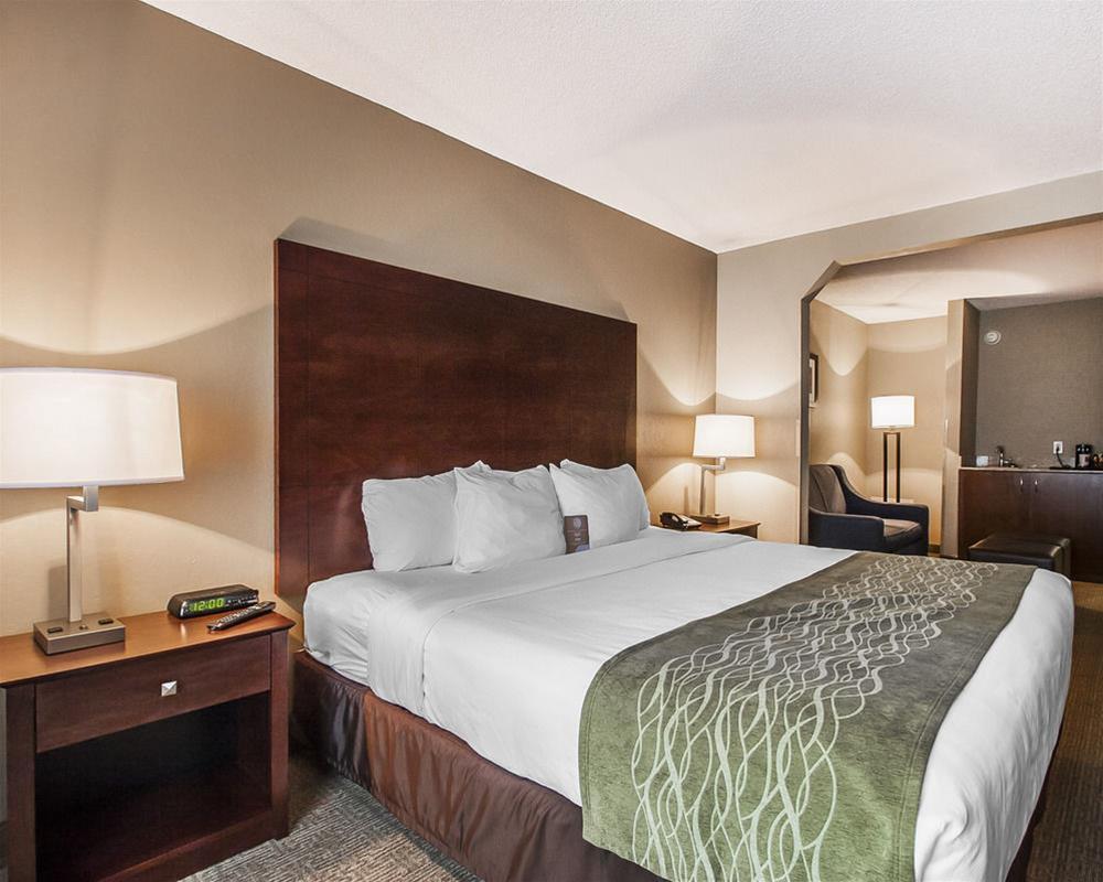 Demopolis Comfort Inn Us Hwy 80 מראה חיצוני תמונה