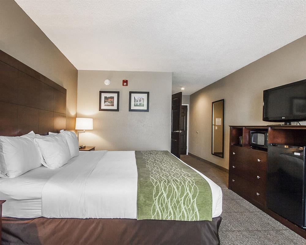 Demopolis Comfort Inn Us Hwy 80 מראה חיצוני תמונה