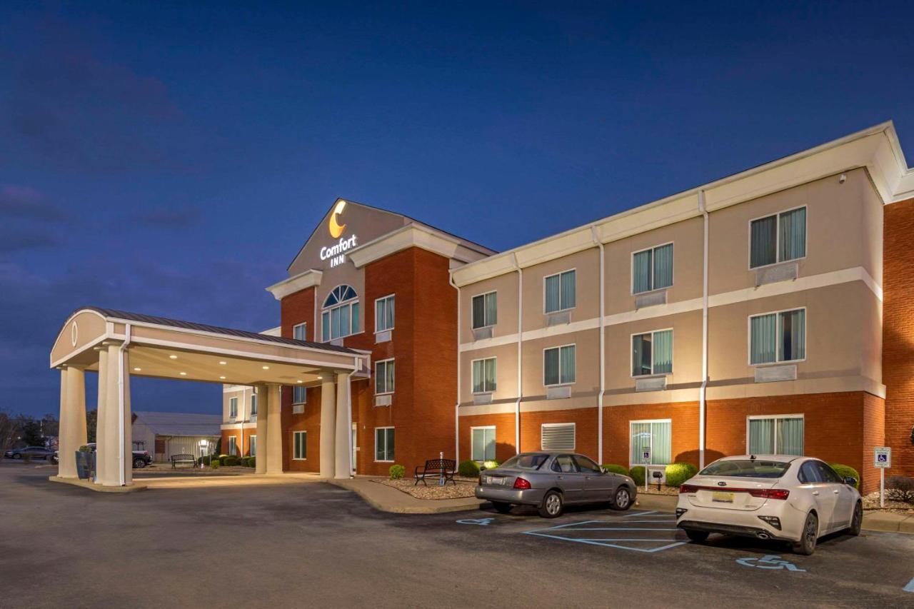 Demopolis Comfort Inn Us Hwy 80 מראה חיצוני תמונה